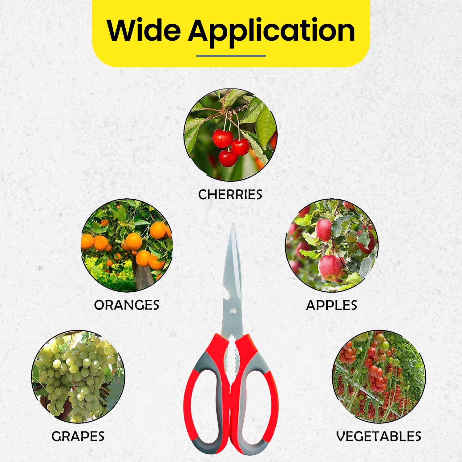 Gardening Scissor