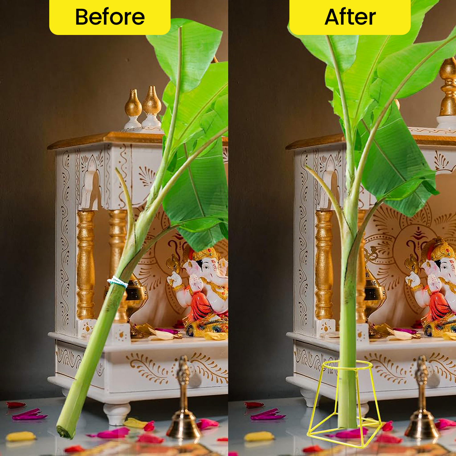 Banana Plant Holder for Pooja - Set of 2, Gold