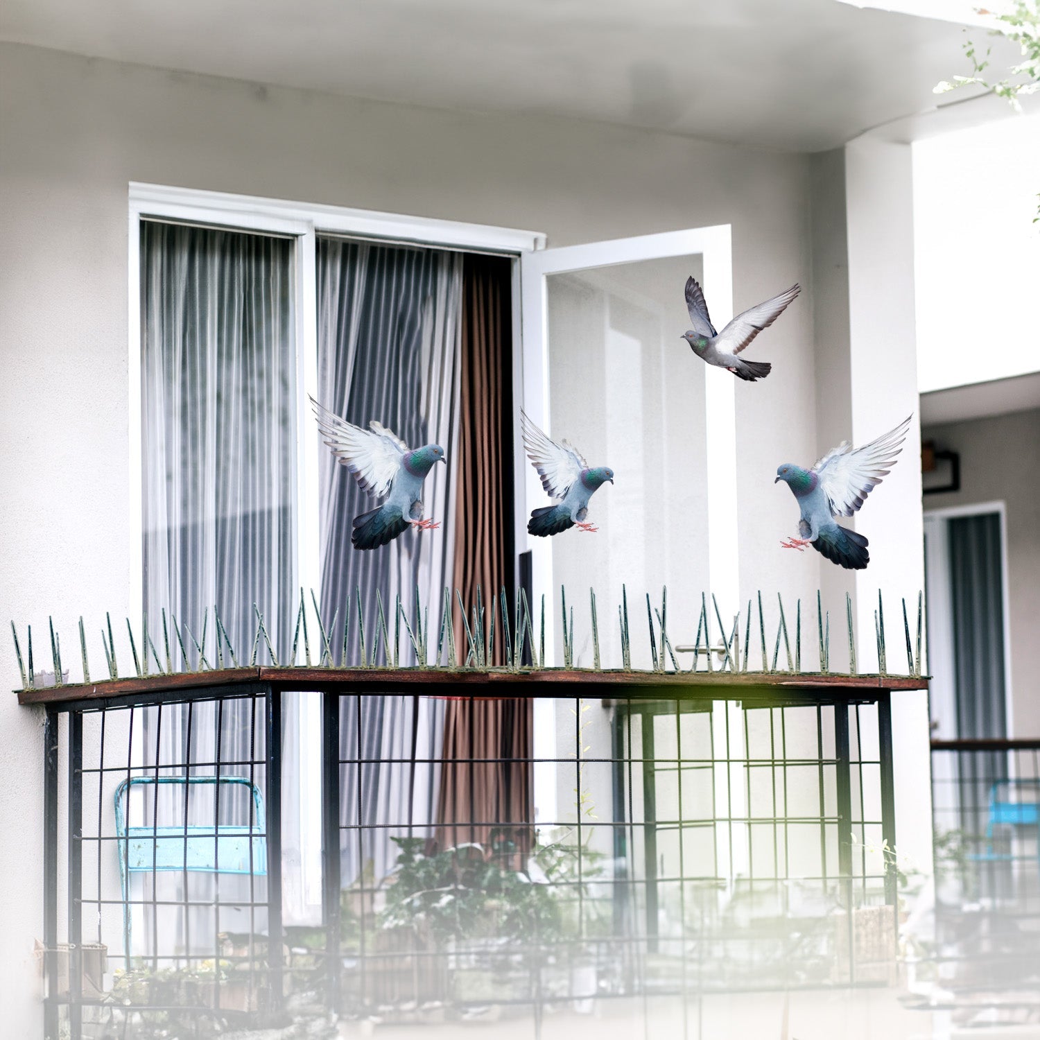 Pigeon Spikes for Balconies and AC